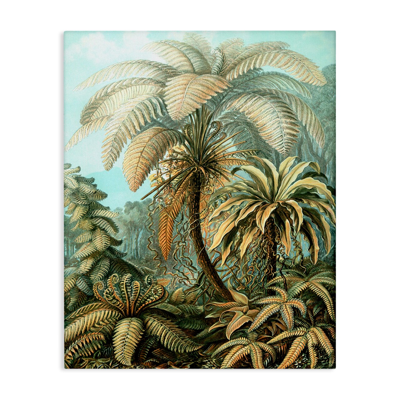 Stupell Industries Detailed Palm Tree Leaves Canvas Wall Art Design by Graffi*tee Studios